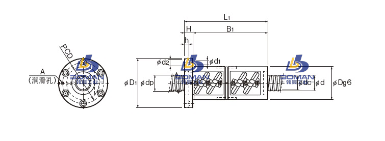 BNFN7020-5